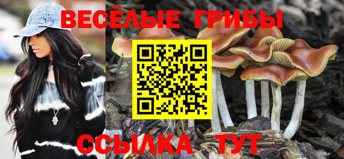 ГЕРОИН Кашира