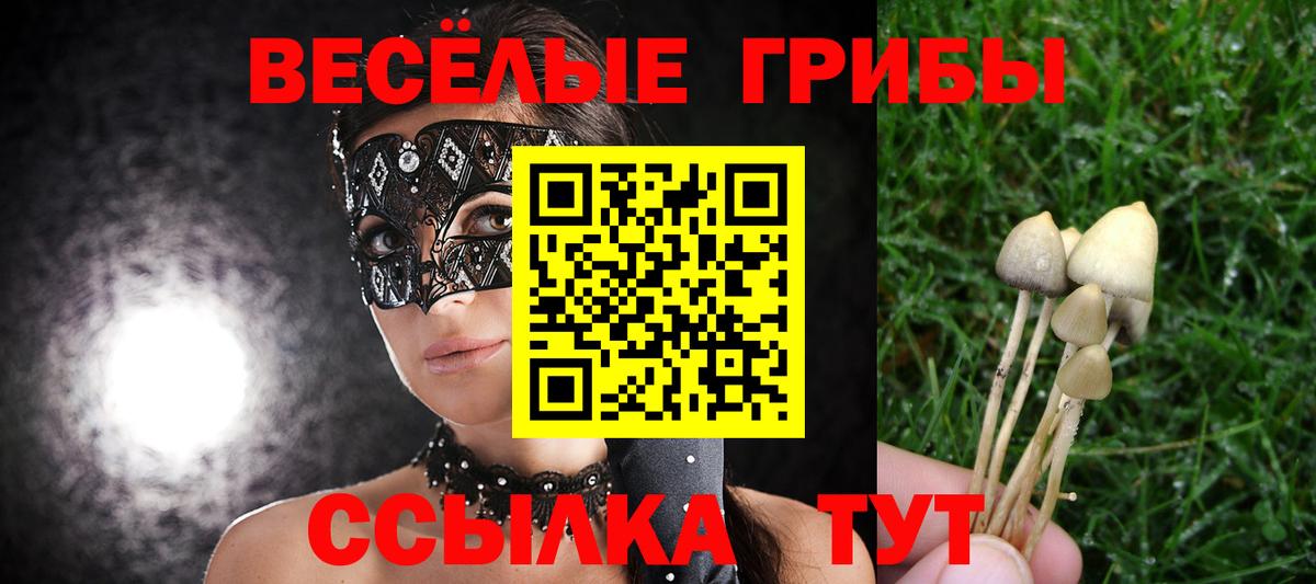 Псилоцибиновые грибы GOLDEN TEACHER Кашира